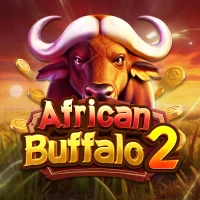 African Buffalo 2 - OLE777