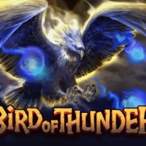 Bird of Thunder - OLE777