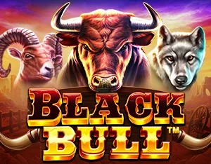 Black Bull - OLE777
