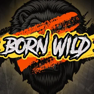 Born Wild - OLE777