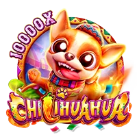 CHILIHUAHUA - OLE777