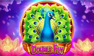 Double Fly - OLE777