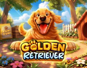 Golden Retriever - OLE777