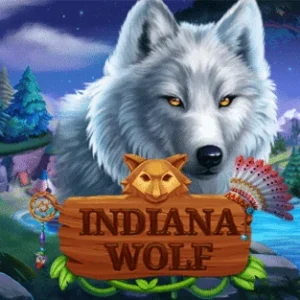 Indiana Wolf - OLE777