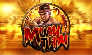 MuayThai - OLE777