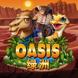 Oasis - OLE777