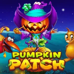 Pumpkin Patch - OLE777