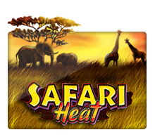 Safari Heat - OLE777
