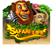 Safari Life - OLE777