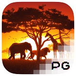 Safari Wilds - OLE777