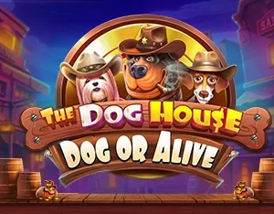 The Dog House – Dog or Alive - OLE777