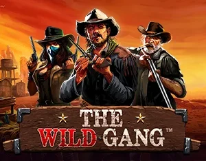 The Wild Gang - OLE777