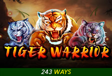 Tiger Warrior - OLE777