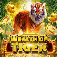 Wealth of Tiger - OLE777
