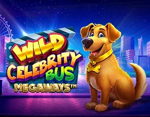 Wild Celebrity Bus Megaways - OLE777