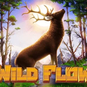 Wild Flow - OLE777
