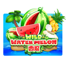 Wild Watermelon - OLE777